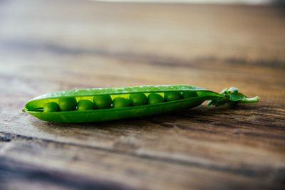 What is Pea Protein?