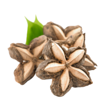 Organic Sacha Inchi