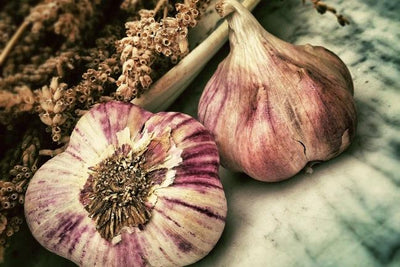 4 Reasons to Eat More Garlic